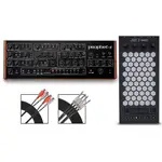 Набор Sequential Prophet-5 Desktop & Exquis MPE - фото