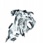 Чешский терьер Складное карманное зеркальце Inna Marka - фото 2