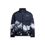 Пуховик унисекс BOSIDENG, Дракон Темно-серый|9AR2 - фото