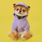 Одежда для собак и дождевики MLB, фиолетовый - фото 4