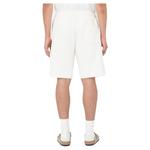 Шорты Dickies Mapleton, бежевый - фото 2