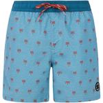 PROTEST Протестные шорты для плавания Parco - фото