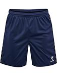 Шорты Hummel Hmlauthentic Multisport Herren, синий - фото