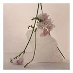 Духи Nude musk Adolfo dominguez, 60 мл - фото 4