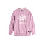 Детская толстовка Dickies, туманно-фиолетовая - фото 8