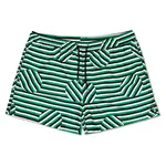 Шорты для плавания Happy Socks Striped Jumbo Dot, зеленый - фото