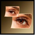 Эффект накладных ресниц Xxl 1 шт Max Factor - фото 3