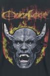 Футболка Ozzy Osbourne Devil Face Seam Spray, черный - фото 2