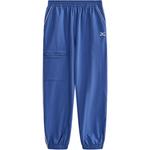 Детские спортивные штаны Mizuno, серо-голубой - фото