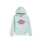 Унисекс худи Dickies, мятно-голубой - фото 9