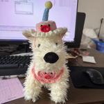 Плюшевая игрушка Handsome - фото 9