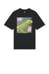 Футболка с рептилией No one reptile tee Obey, true vintage black - фото