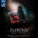 CD диск Flamenco: Pasado Y Presente / Various: Flamenco: Pasado y Presente - фото