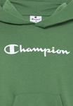 Худи Champion BASICS HOODIE UNISEX, Green - фото 5