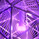 Лампы накаливания PHILIPS - фото 4