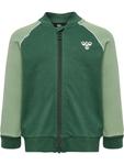 Худи Hummel Sweatshirt ARNOLD, цвет green/light green - фото