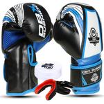 Боксерские перчатки 6 унций для детей DBX Bushido - 4Fighter Black - фото