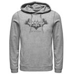 Мужская толстовка с логотипом Batman Skyline DC Comics - фото