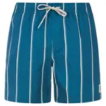 Шорты для плавания Protest Gonz, синий - фото