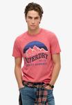 Футболка Superdry, Pink - фото 2