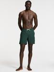 Пляжные шорты Shiwi Mike, Dark green - фото 6