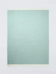 Плед John Lewis Herringbone Shetland Lambswool, цвет dusty/green - фото