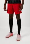 Спортивные шорты Nike Performance ACADEMY SHORT, University Red/Black/Red - фото 3