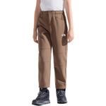 Детские штаны THE NORTH FACE, коричневый - фото