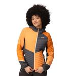 Спортивная куртка Regatta Trutton II, оранжевый - фото