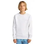 Детская толстовка Arch Cr Billabong, белый - фото