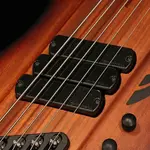 DINGWALL D-Roc Standard 5 струн (матовый винтажный взрыв) - фото 3