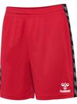 Шорты Hummel Hmlauthentic Pl Kids, цвет TRUE RED - фото 4