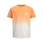 Футболка с коротким рукавом Jack & Jones Tarif, оранжевый - фото 3