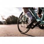 Носки шоссейные велосипедные PIPPO Amsterdam в полоску - фото 3