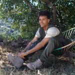 Мужские ботинки BEARPAW Kyle, Stone - фото 8