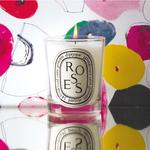 Ароматерапевтическая коробка Diptyque - фото 10