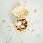 Деревянные игровые яйца в коробке Le Toy Van. - фото 4