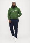 Худи Tommy Hilfiger HOODY, Mountain Pine/Khaki - фото 2