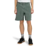 Мужские бермуды Carpenter 12.6" Element, зеленый - фото