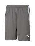 Шорты PUMA Regular Workout Pants TeamLiga, цвет light grey/dark grey - фото