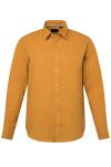 Рубашка на пуговицах классического кроя JP1880, Curry - фото