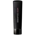 Шампунь Champu Volupt Sebastian, 250 - фото