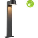 Светодиодный столб Outdoor 230V Capea алюминий антрацит, безопасный для насекомых, 1 шт., IP44, 2200K Paulmann, антрацит - фото 3
