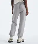 Женские брюки Evolution Simple Dome The North Face, TNF Pale Grey Heather - фото 3