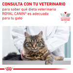 Сухой корм для взрослых кошек Royal Canin Urinary S/O 3,5 кг - фото 8