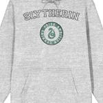 Мужская толстовка с капюшоном Harry Potter Slytherin Values Licensed Character - фото