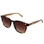 Солнцезащитные очки Pepe Jeans Bali, коричневый - фото