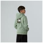 Толстовка с капюшоном Teen'S box nse regular The North Face, мультиколор - фото 4
