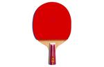 Ракетка для пинг-понга DOUBLE FISH, shakehand grip+penhold grip - фото 4
