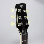 Yamaha Revstar Standard RSS02T 2025 - Закатный Взор - фото 9